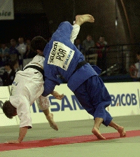 23.jpg