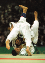 4.gif