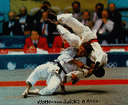 5.gif